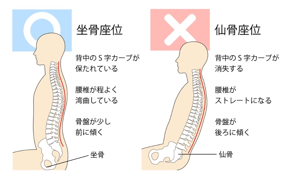 腰・肩に負担の少ない正しい座り方